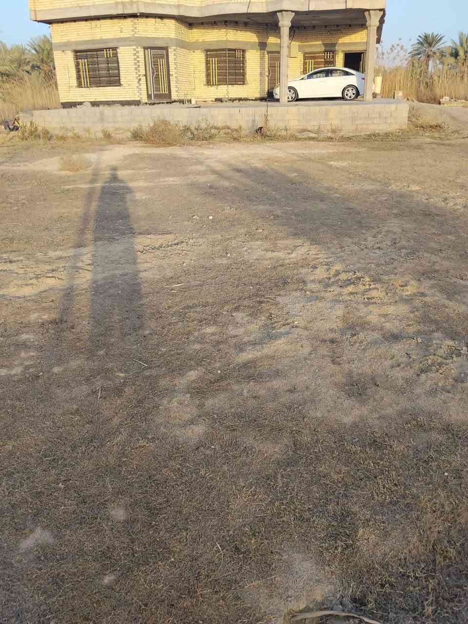 السلام عليكم يوجد دونم للبيع طابو زراعي سند ٢٥ على طريق كربلاء بغداد  طريق ياحسين المسيب عمود ٦٦٢ يبعد عن الشارع العام ٥٠٠م تبليط واجهه الدونم ٥٠م يوجد فيه بيت حديث ٢٠٢٣ مساحته ٣٠٠م وجود خدمات ماء سقي   واساله وكهرباء السعر ٢٥٠ وبي مجال للاستفسار الاتصال ***********
