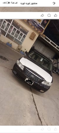 ماروني • ٢٠١٠ • بيه ارقام