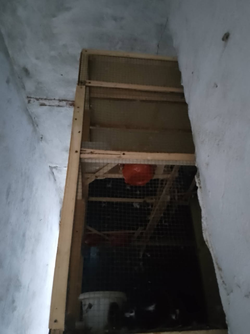 سلام عليكم قفص للبيع نجارا كلش نضيف سعر 50 مكاني كرمه علي حي الرساله


**إذا كنت صاحب هذا الإعلان وتريد حذفه لأي سبب، رجاءا أرسل رسالة إلى الدعم الفني**