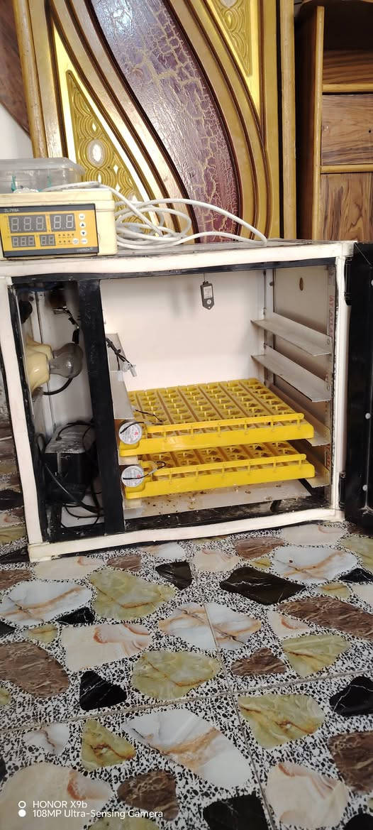 السلام عليكم فقاسه للبيع الحجم 250 بيضه مع عاكسه اذا تريد الفقاسه بدون العاكسه عادي أبيع او تريدهن ثنينهن سعر الفقاسه 280 والعاكسه 250 المكان واسط قضاء الأحرار قليل متواجد على الفيس بوك ***********
