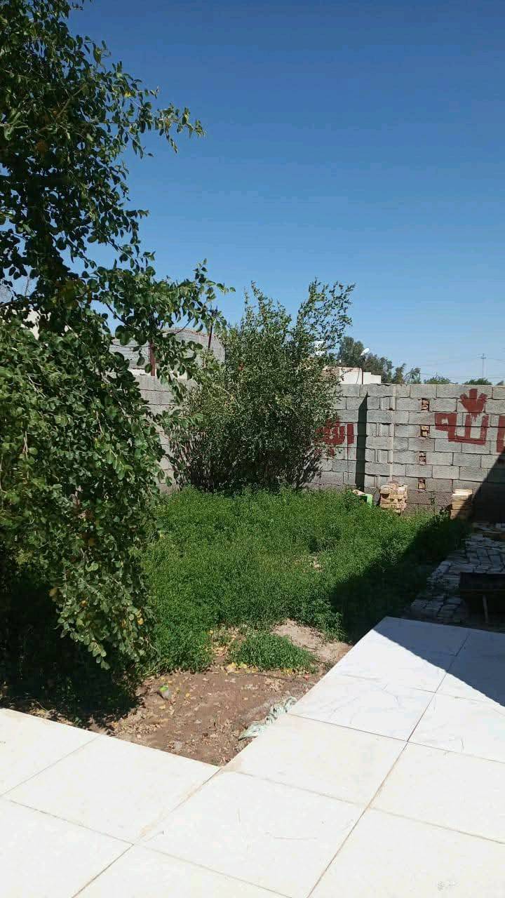 بيت للبيع في منطقة الدفاس البساتين البيت شوفت عينكم يرادله 3 ملاين ويكمل المساحه 340  وماي ومجاري وكهرباء وجاي يبلطون السعر 69وبي مجال ولمو شراي لا يراسل واني خادمكم متوفر بس واتساب  ***********
