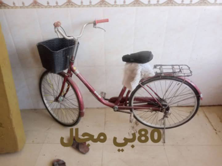 اغراض للبيع قلايه ب 20كابسه ب 15مال كليجه الدوشك ب      45 وباقي الغراض كلمن سعرة عليه العنوان  كربلاء طوريج
البلازمة بيها مجال


**إذا كنت صاحب هذا الإعلان وتريد حذفه لأي سبب، رجاءا أرسل رسالة إلى الدعم الفني**