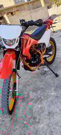 كاويار مديل ٢٤ • مراوس بسيفان • بلدروز