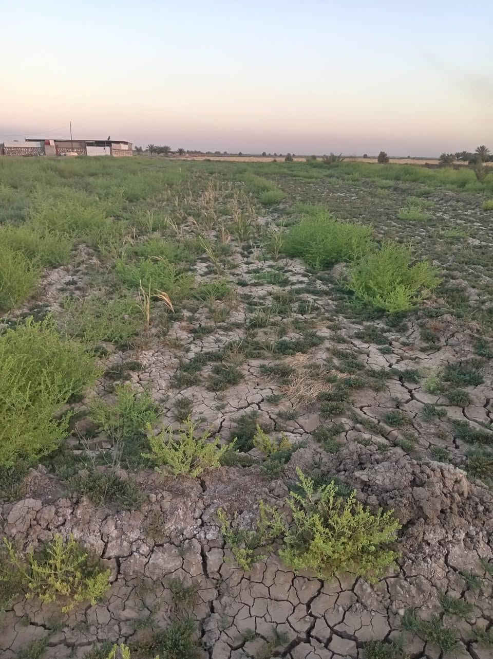 سلام عليكم يوجد دونم وربع سند ٢٥ بسمي على شارع لبنافع كامل لخدمات تبعد عن شارع العام ١٠٠ متر وترهم تقسيم قطع شارعه الفرعي ١٢ متر كله واجهيه *********** يوجد واتساب
