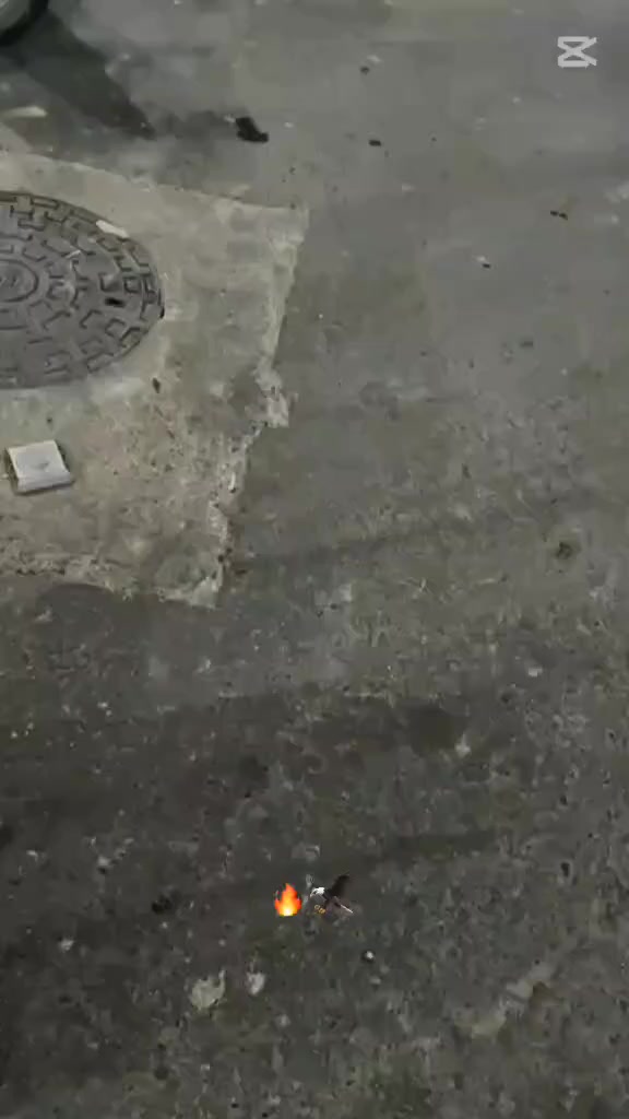 عندي هذا الماطور الشحن 318 شرط النضافه الماطور جديد ما نقصو شي البطاريات شرط عقل ملف شرط السعر 490 وبيه مجال للشراي الامو شراي لا يدخل خاص العنوان موصل حي المحاربين قرب شارع النخيل ومسبح الابراج الشراب خاص ويدلل


**إذا كنت صاحب هذا الإعلان وتريد حذفه لأي سبب، رجاءا أرسل رسالة إلى الدعم الفني**