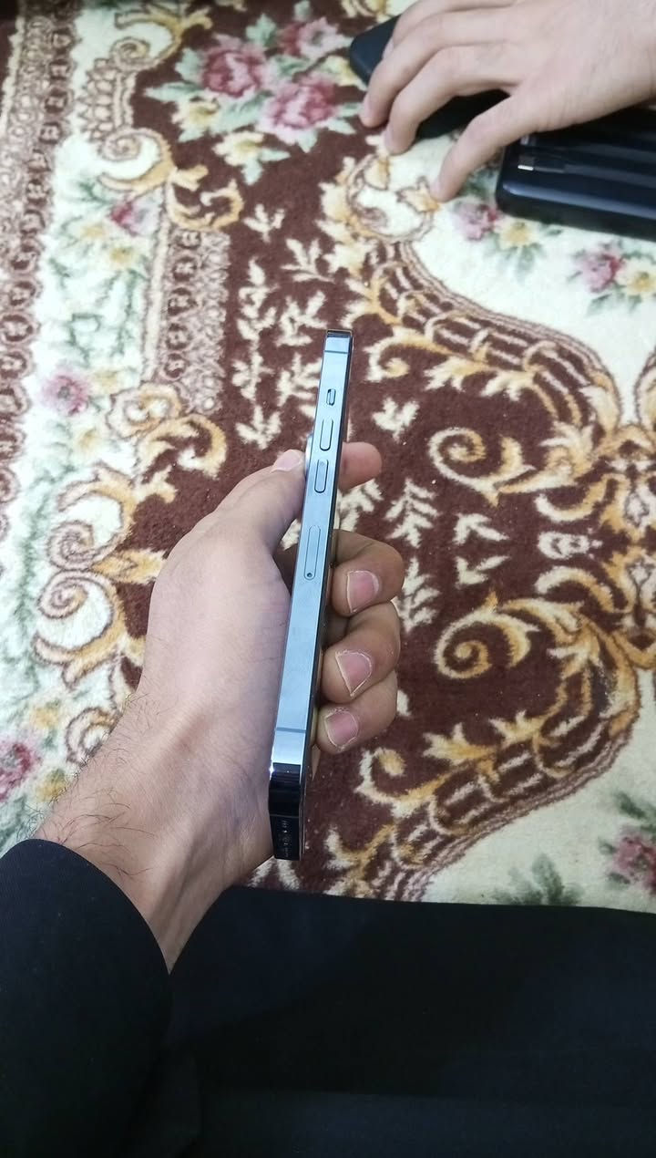 السلام عليكم اخوان عندي هاذا 13 برو للبيع بطاريه 86 ذاكره 128 تك باقي تفاصيل خاص مفتوح


**إذا كنت صاحب هذا الإعلان وتريد حذفه لأي سبب، رجاءا أرسل رسالة إلى الدعم الفني**
