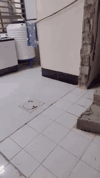 تحرير الحولي • ١٠٠م • زراعي سند ٢٥