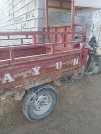 ستوته • دايوان • بدون أوراق