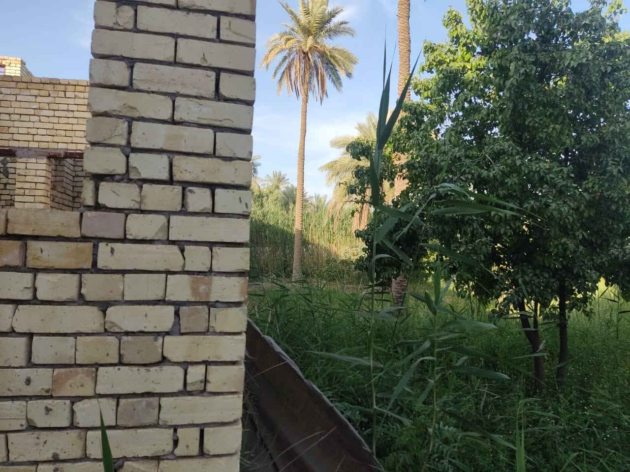 متوفر هيكل للبيع ٥٧ متر حي العباس
بيع مستعجل 
للتواصل مع صاحب العقار ‎ 0772 331 9960
