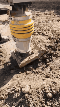 ‏‪***********‬‏
