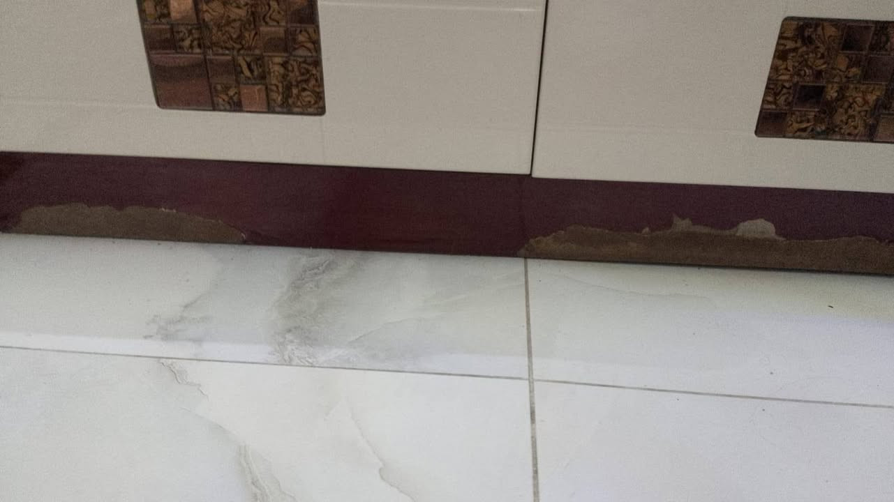 معرض تلفزيون للبيع مكان بغداد


**إذا كنت صاحب هذا الإعلان وتريد حذفه لأي سبب، رجاءا أرسل رسالة إلى الدعم الفني**