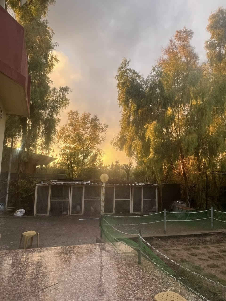 سلام عليكم
عندي مزرعة بچيمن كركوك 

مساحة دونم وربع

تحتوي على بيت كامل مثل الي بالصور ومسبح وغرف عدد ٣ وصحيات ٢ طابقين وبلكونه

السعر ١٠ دفاتر 

للأستفسار 

‭٠٧٧١ ٤٢٨ ٢٤٥٢‬

‏‭‬
