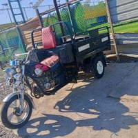 ستوته جمره • موديل 2022 • أوراق ضايعة