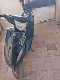 ماكس • عدله • بوش ٥٥