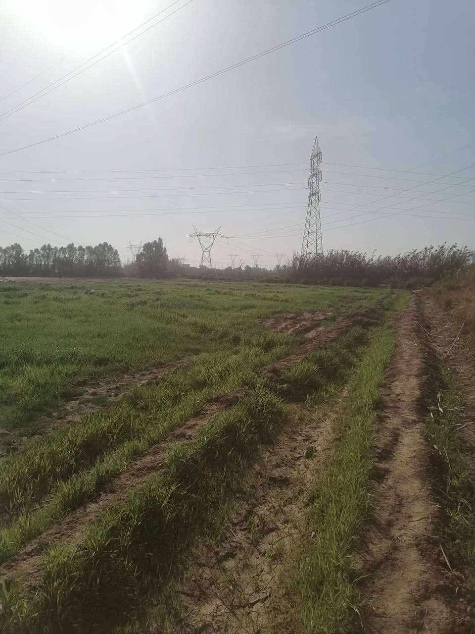 السلام عليكم 8 دونم  زراعيه عقد 17 وبيتين تقاطع النهران مقابيل اسواق القمه ***********
