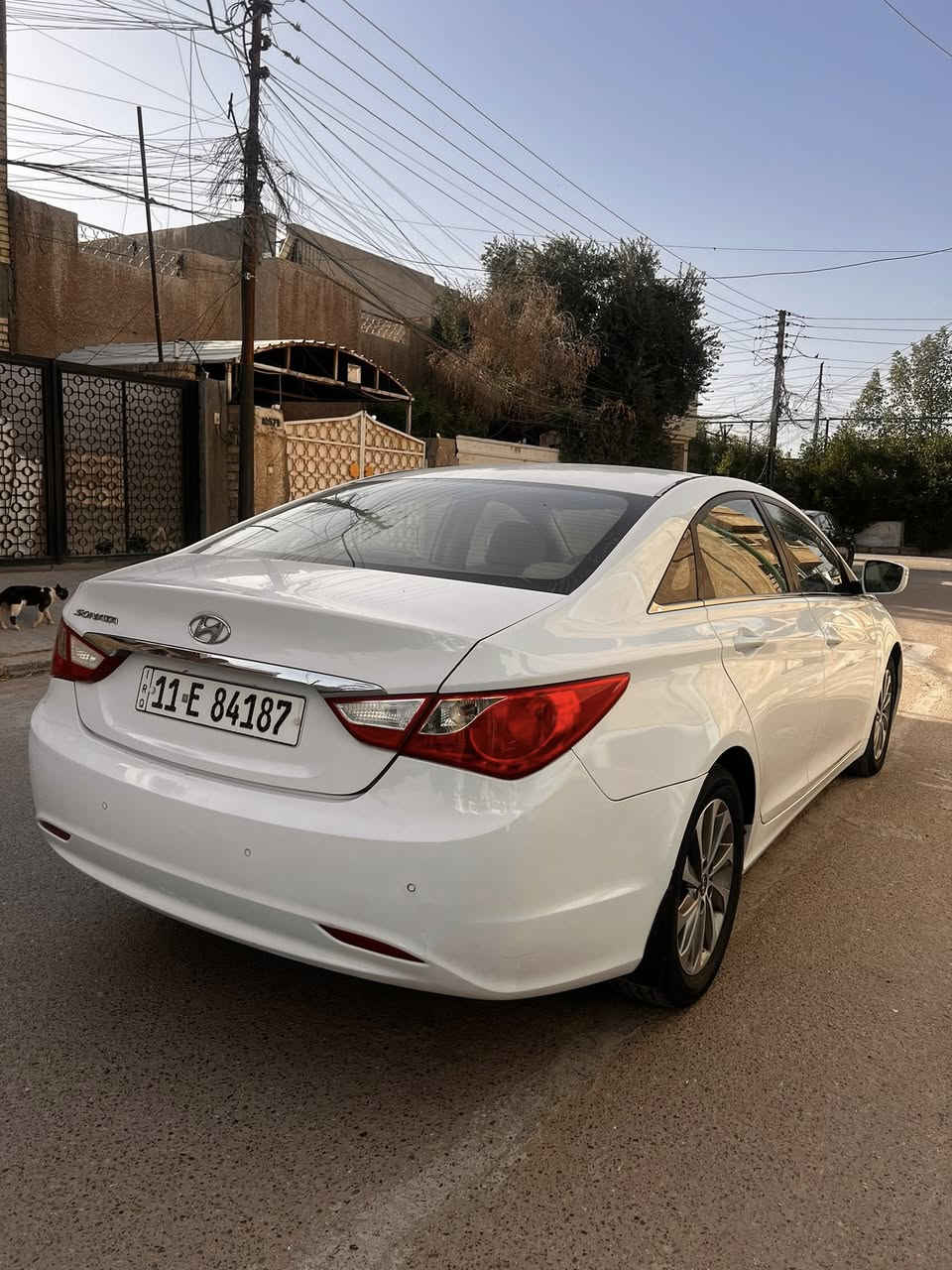 السلام عليكم 
هونداي سوناتا 2013 شكل 2014

خليجي مكفولة من الضربة والصبغ والبارد
مواصفات الشركة العامة معروفة كرسي كهرباء تحكمات فول حساس خلفي مكينة 2400 دوش شفتات مري شفط 
السيارة ماشية 79 الف حقيقي شرط الفحص كلش جديدة على ايد وحدة 
رقم بغداد الدولي بأسمي 
عنوان السيارة بغداد / الكرخ 
رقم الهاتف ***********
