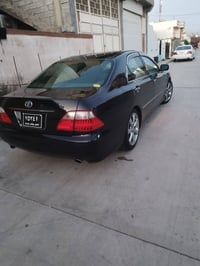 شاهین • ٢٠٠٦ • سيد صادق