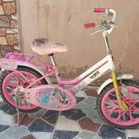 وردي ١٦ • أزرق ١٢ • نظيفات