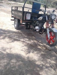 ستوته • بابل