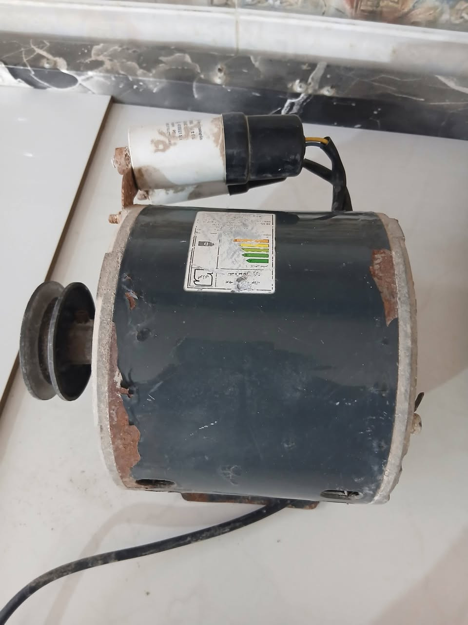 شرط الفحص سرعتين ٣٠ قفل


**إذا كنت صاحب هذا الإعلان وتريد حذفه لأي سبب، رجاءا أرسل رسالة إلى الدعم الفني**
