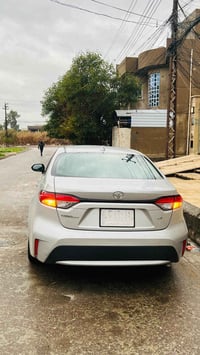 كورولا ٢٠٢١ • كاربون • امريكي