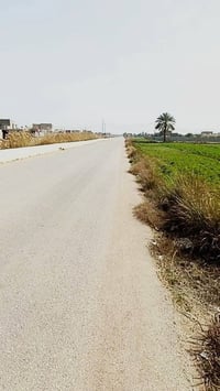 ١١٠٠م • طريق حله نجف • سند ٢٥