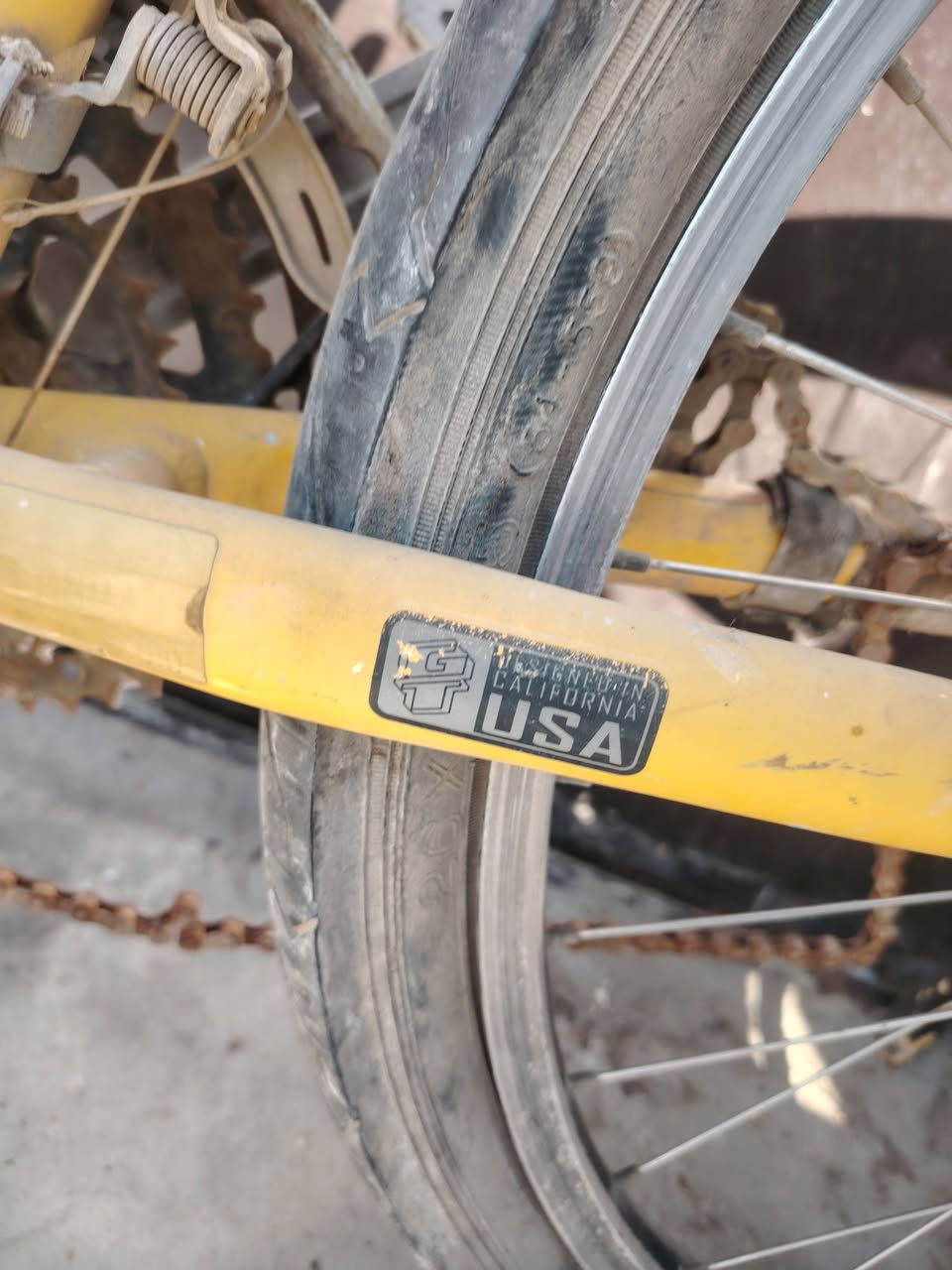 متاح بايسكل  متروك   GT  أمريكي   حجم  ٢٦
  أكرر بايسكل متروك بي نقص. ابيعه ع هاي حطه
توصل ***********
