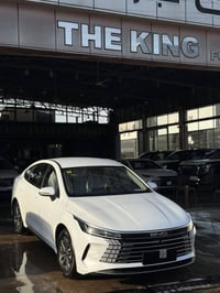 بي واي دي دسترويل • ٢٠٢٥ • فول كارت