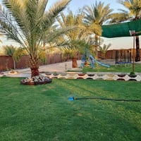 دونم • طابو زراعي • بابل