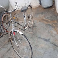 باسكلات • مقاس 26 • طوز خورماتو