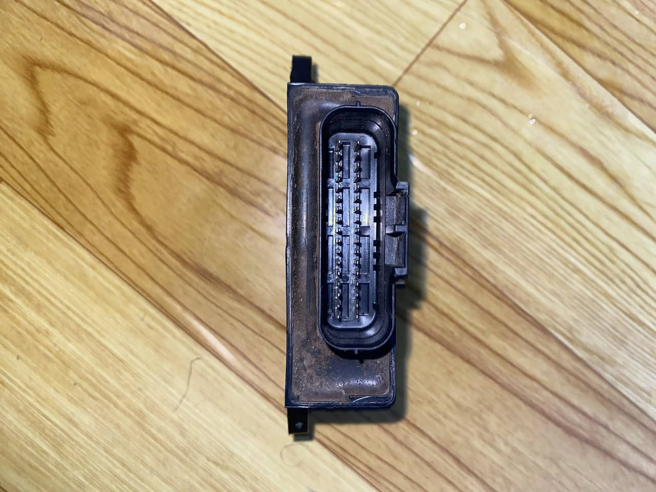 عقل سكنس فحل بلاد مختم مقفول اصلي السعر 70 وبي مجال بصيط مكاني بغداد الحبيبية *********** بي بس واتساب
