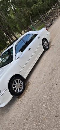 فتحة سقف • كشنات جلد • تحويرات