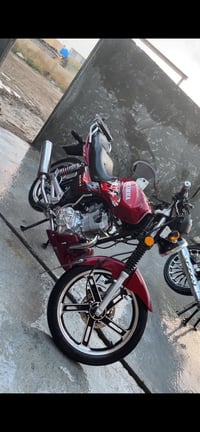 هيوشه 2023 • فلوجه • اوراق كمرك