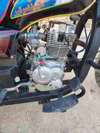 ستوته صقر • موديل ٢٠٢٠ • أوراق أصلية