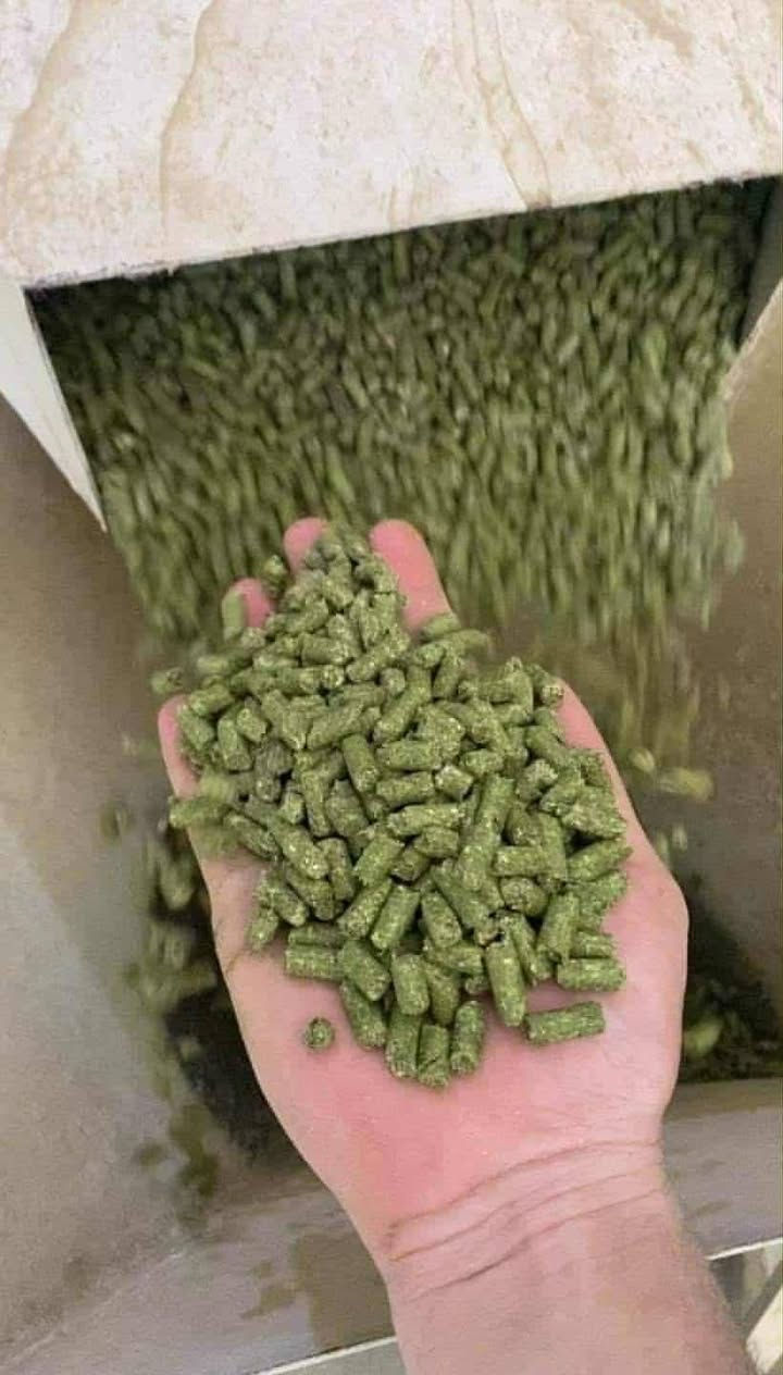 السلام عليكم يوجد لدينا بروتين تسمين عجول فتره تسمين العجول ٣اشهر فقط بروتين بمواصفات عاليه ولزياده حليب الأبقار البروتين بيه ١٤ ماده المواد مذكوره بل صوره سعر الطن ٥٨٠قفل اخي العزيز اسعارنه ثابته العنوان بغداد التاجي قرب جسر اذراع دجله. الرقم الأثير *********** الرقم الثاني ***********بيه واتساب مفتوح اربعه وعشرين ساعه.
