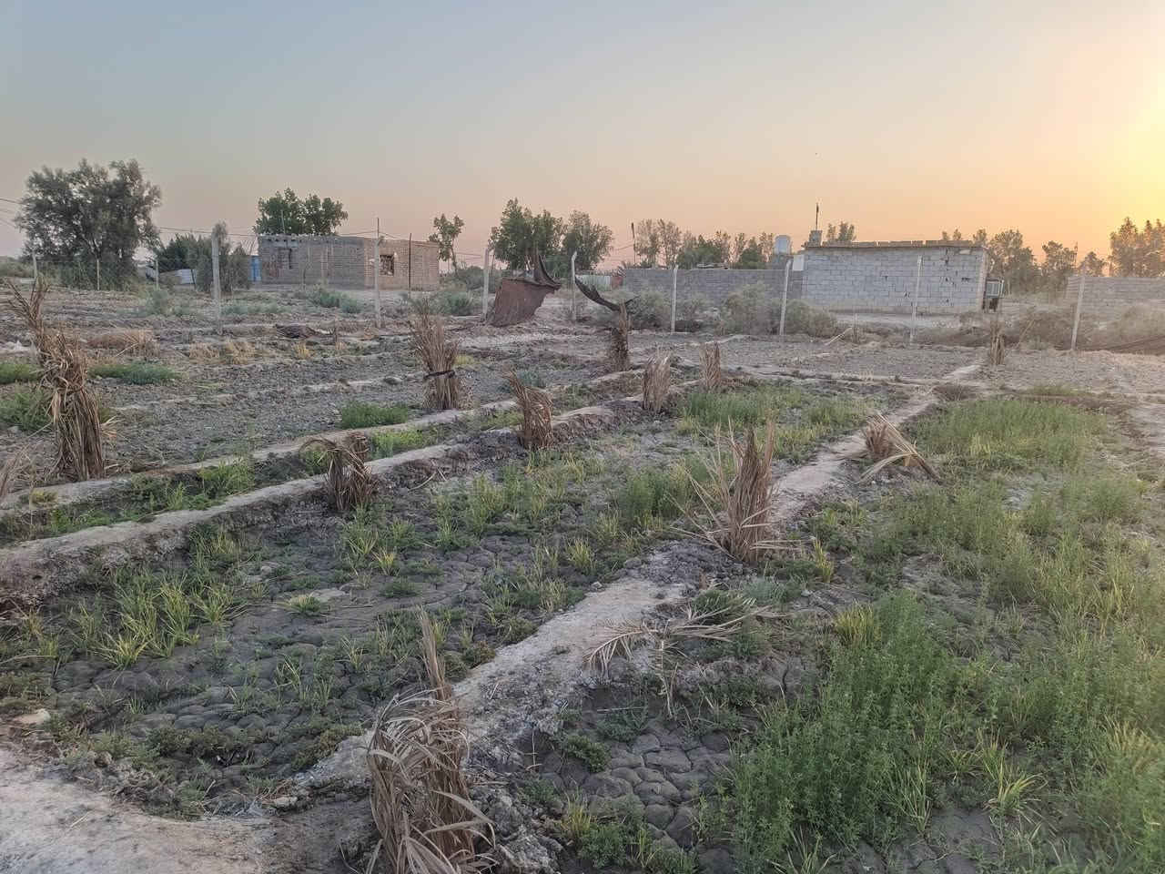 بيت زراعي + مزرعه مساحة فوك نص دونم يحتوي ع أنواع ازرع ولبيت صغير يحتوي ع غرفتين وصاله وصحيات وساحه الموقع بدايه الساده الشرامطه طريق سوق بصره قريب ع شارع العام 
سعر 19 وبي مجال ***********
