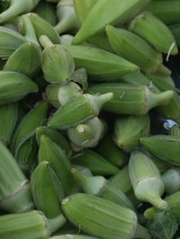بانيه • لوبيه • لوبيا • باذنجان • بيتنجان • اكل عراقي