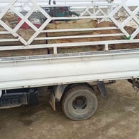 93 للبيع حماره وربع07881888285