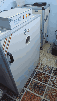 فقاسات بيض دجاج • فيم إيطالية • تكريت