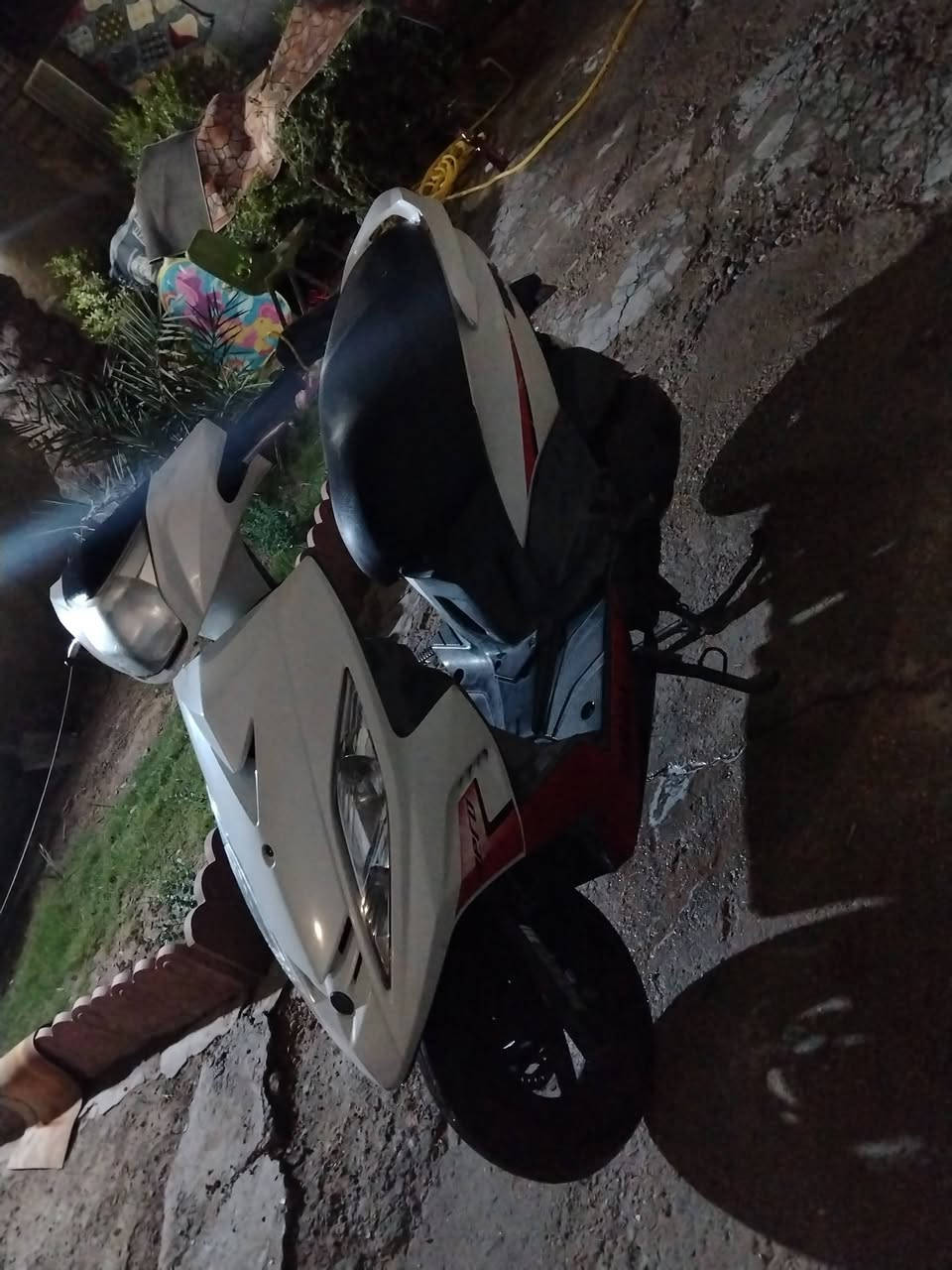 مراوس بدراجه دايوان او بوكسر
دراجه وظع الشركه


**إذا كنت صاحب هذا الإعلان وتريد حذفه لأي سبب، رجاءا أرسل رسالة إلى الدعم الفني**