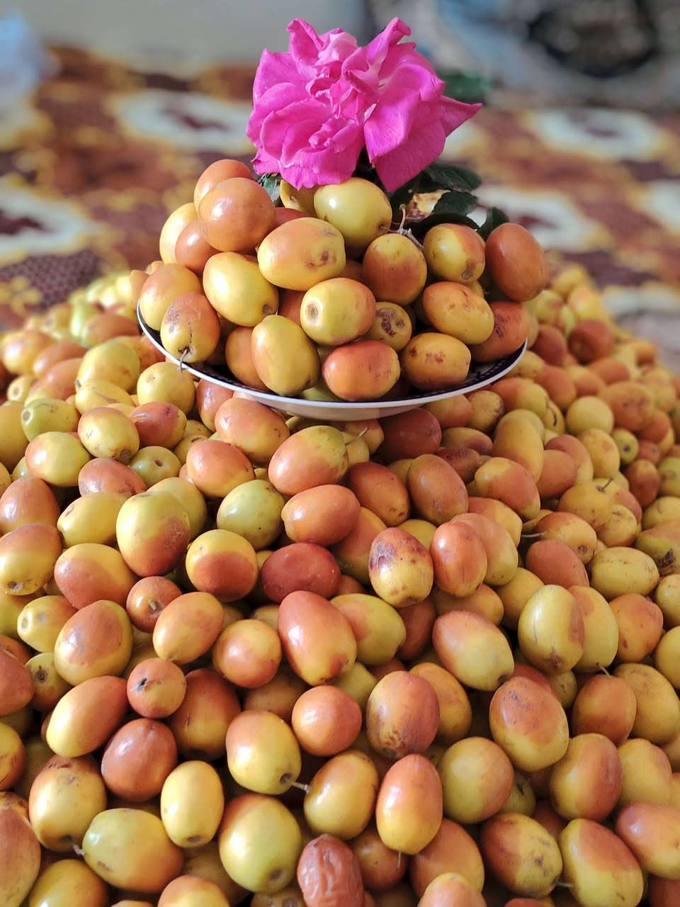 السلام عليكم اخوان نبك درجه اولى الي يريد يتصل عليه الهاشميه شارع جعفر الطيار (ع) ***********
