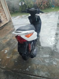 ماكس ثعلب • خالي نقص • أبو غريب