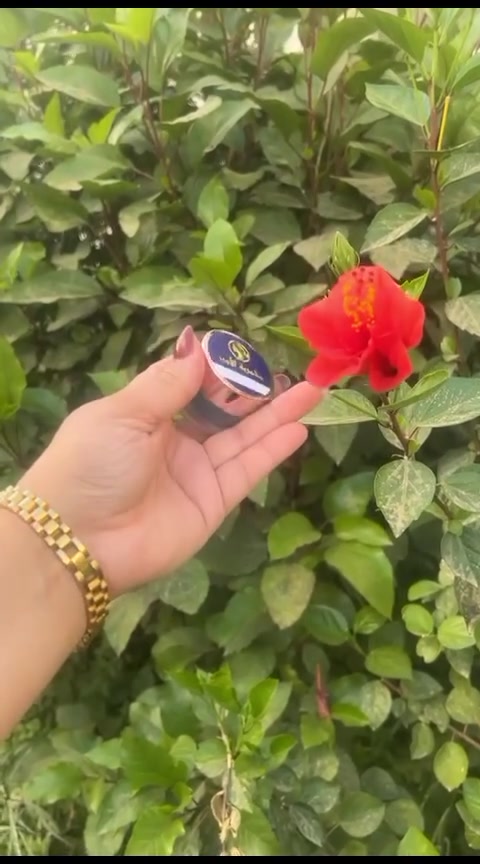 مخمرية عطر مكس رجالي نسائي عطر فواح ثباتية عالية جداً 
3000


**إذا كنت صاحب هذا الإعلان وتريد حذفه لأي سبب، رجاءا أرسل رسالة إلى الدعم الفني**