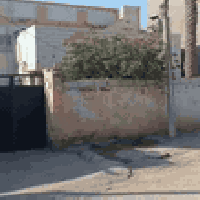 بكرلي • طابو • ٣٢٠م