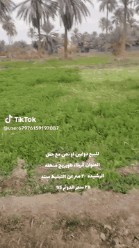 للبيع دونمين ونض منطقه رشيده 200متر عن شارع 👇👇
***********
