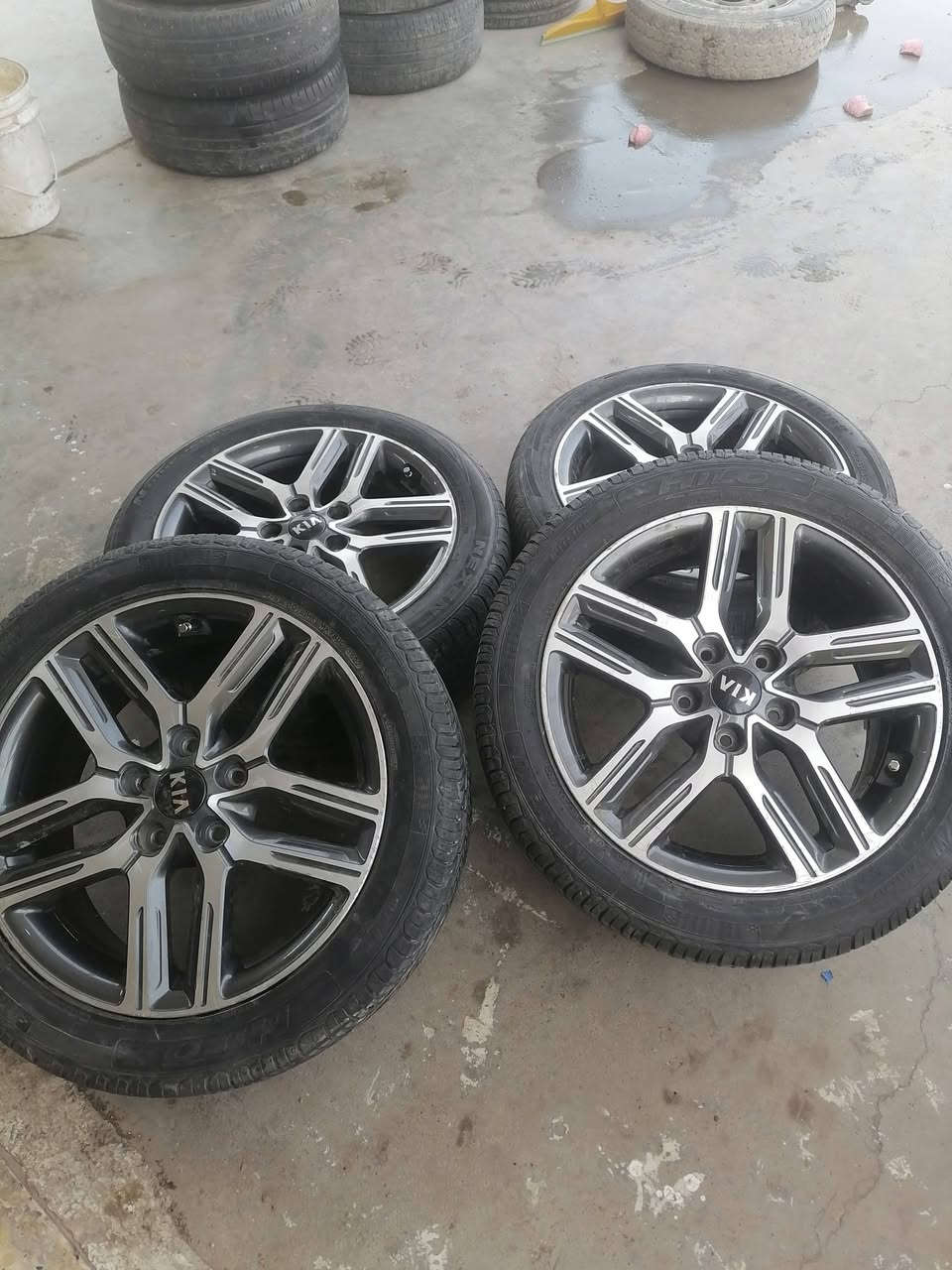 تخم ويل كب جيتي لاين فورتي اصلي شركة العنوان بغداد الشعلة ***********
***********
