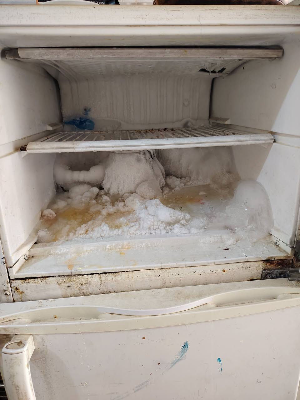 ثلاجة كونكورد الأصلي..شغالة عل الفحص.. السعر ١٧٥ مع المجال.. ***********
