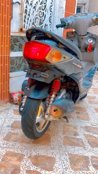 سكنس فحل • مكفوله