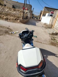 ماجستا • اشاير عاطلة • اوراق