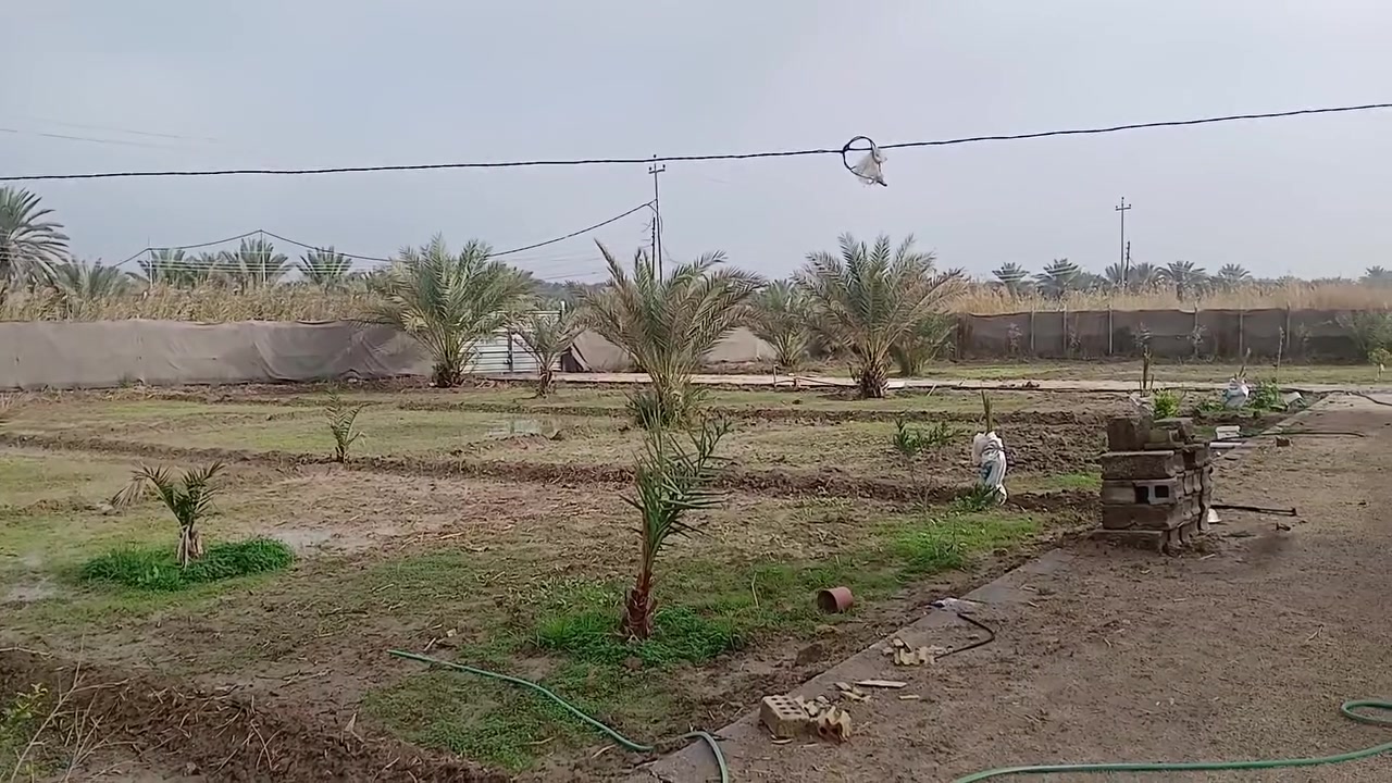 دونم للبيع في منطقة هور امام نوح 
يحتوي على منزل البستان ركن على شارع  
الرقم ***********
يوجد ماء اساله  وكهرباء وللسقي ماء سيح
